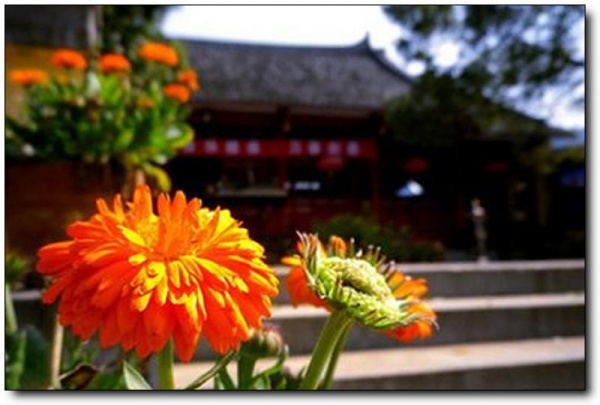 建甌光孝寺_建甌建甌光孝寺_建甌光孝寺