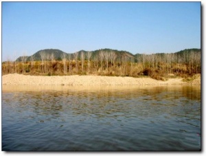 九石渡_浦城九石渡_九石渡