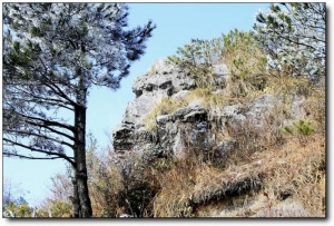 順昌寶山_順昌順昌寶山_順昌寶山