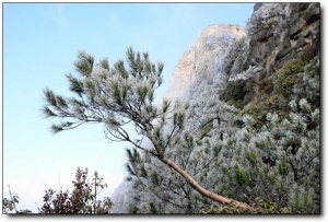 順昌寶山_順昌順昌寶山_順昌寶山