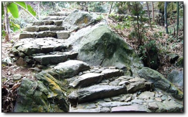 茫蕩山_延平茫蕩山_茫蕩山