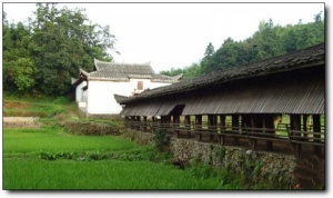 茫蕩山_延平茫蕩山_茫蕩山