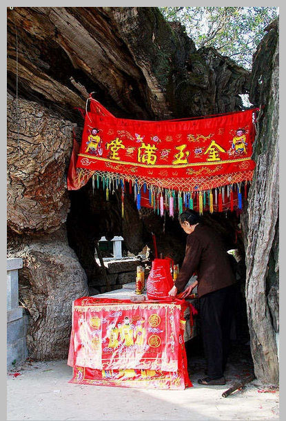 同安洪塘鎮(zhèn)郭山村[公婆樟] - 樹神 (2)_同安洪塘鎮(zhèn)郭山村公婆樟-樹神