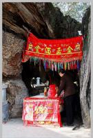 同安洪塘鎮郭山村[公婆樟] - 樹神 (2)_同安洪塘鎮郭山村公婆樟-樹神