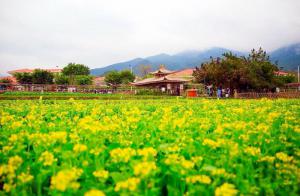 東孚大曦山公園 (6)_大曦山薰衣草公園好玩嗎_大曦山薰衣草公園怎么去(在哪里)_大曦山薰衣草公園門票多少錢?_大曦山薰衣草公園