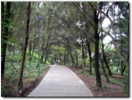 鳳山森林公園 (2)_鳳山森林公園