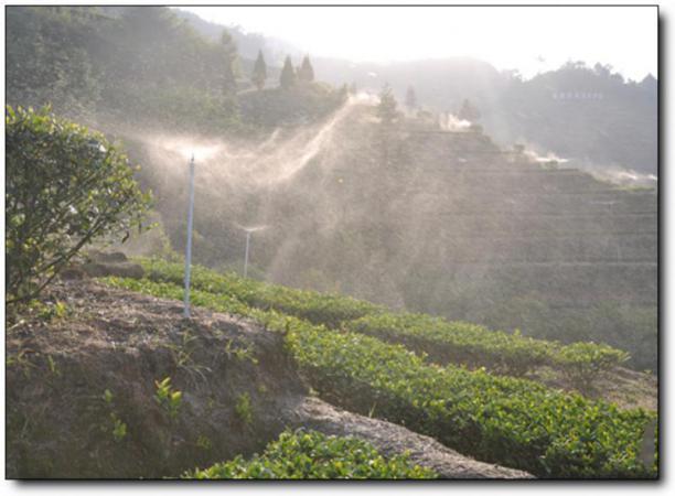 華祥苑生態(tài)茶莊園 (5)_華祥苑生態(tài)茶莊園