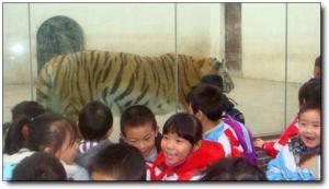 東湖動(dòng)物園 (5)_東湖動(dòng)物園