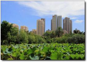 刺桐公園 (6)_刺桐公園