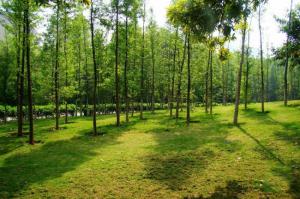 鯉城釋雅山公園 (5)_鯉城釋雅山公園