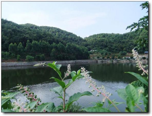 南安霧湖山莊 (5)_南安霧湖山莊