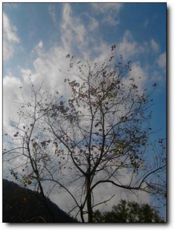 永春海峽藍(lán)天生態(tài)莊園 (6)_永春海峽藍(lán)天生態(tài)莊園