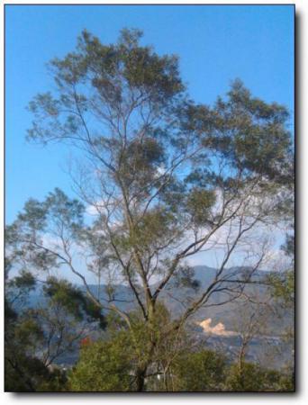 永春海峽藍天生態莊園 (5)_永春海峽藍天生態莊園