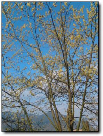 永春海峽藍天生態(tài)莊園 (2)_永春海峽藍天生態(tài)莊園