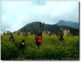 長(zhǎng)泰十里藍(lán)山 (3)_長(zhǎng)泰十里藍(lán)山