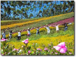 長(zhǎng)泰十里藍(lán)山 (5)_長(zhǎng)泰十里藍(lán)山