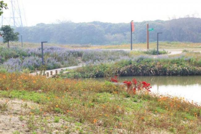 龍海郊野公園 (5)_漳州郊野公園_龍海郊野公園(福建漳州)_郊野公園