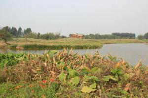 龍海郊野公園 (1)_漳州郊野公園_龍海郊野公園(福建漳州)_郊野公園