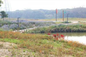 龍海郊野公園 (5)_漳州郊野公園_龍海郊野公園(福建漳州)_郊野公園