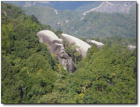 平和太極峰 (1)_平和太極峰