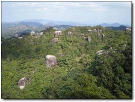 平和太極峰 (3)_平和太極峰