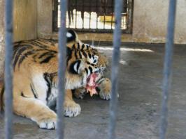 薌城漳州動物園 (2)_薌城漳州動物園