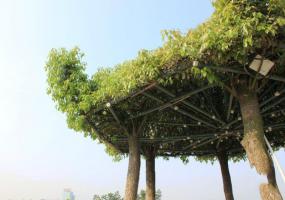 薌城漳州江濱公園 (2)_薌城漳州江濱公園