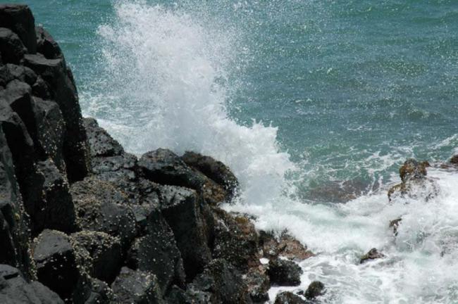 漳浦林進嶼 (5)_漳浦林進嶼