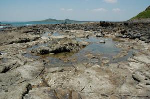 漳浦林進(jìn)嶼 (2)_漳浦林進(jìn)嶼