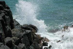 漳浦林進嶼 (5)_漳浦林進嶼