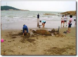 長樂大鶴海濱公園 (5)_長樂大鶴海濱公園