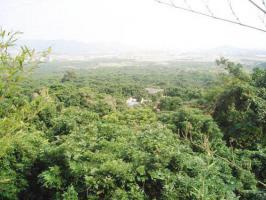 長樂青山貢果生態園_長樂青山貢果生態園