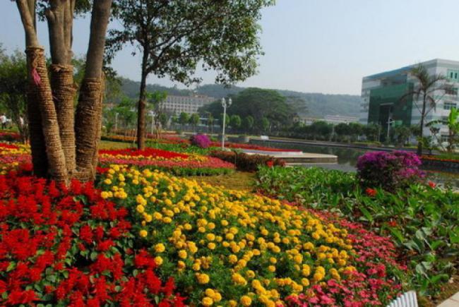 倉山福建農林大學金山學院 (3)_倉山福建農林大學金山學院