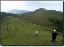 福清大姆山草場 (1)_福清大姆山草場