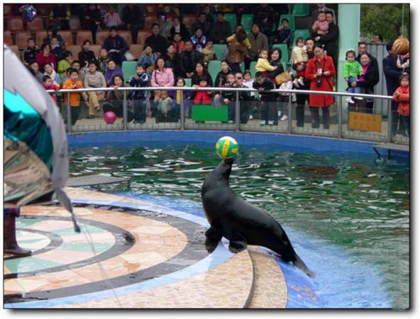 晉安動物園 (4)_晉安動物園