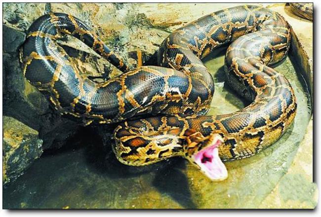 晉安動物園 (1)_晉安動物園