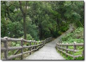 晉安金雞山公園 (5)_晉安金雞山公園