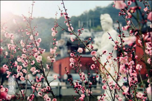 晉安林陽寺 (5)_晉安林陽寺