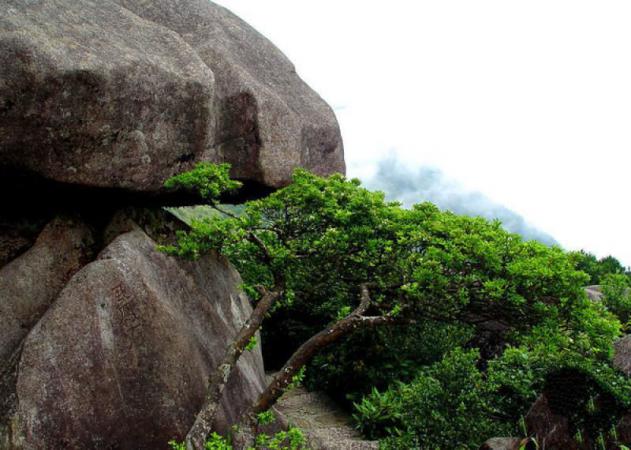 閩侯閩侯大湖石牛山 (3)_閩侯大湖石牛山