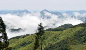 閩侯馬嵐山 (3)_閩侯馬嵐山