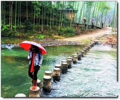 閩清豐達生態(tài)園 (5)_閩清豐達生態(tài)園