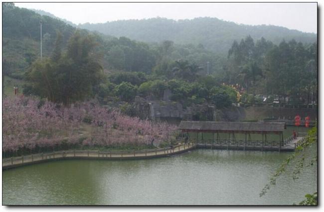 大田梅園山莊 (1)_大田梅園山莊