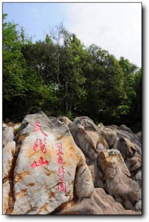 將樂天階山森林公園 (4)_將樂天階山森林公園