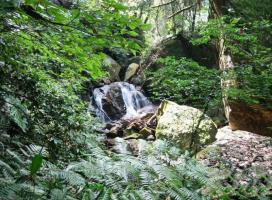 梅列仙人谷國(guó)家森林公園 (6)_梅列仙人谷國(guó)家森林公園