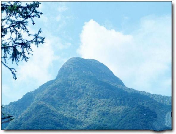 沙縣大佑山 (4)_沙縣大佑山