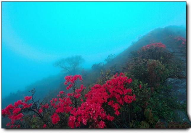 三元普禪山 (1)_三元普禪山