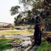 同安農(nóng)家樂麗田園