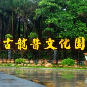 古龍醬文化園