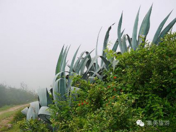 集美周邊游|鎮(zhèn)海衛(wèi)，守一段天涯海角晴雨時(shí)！