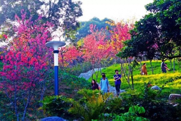 廈門新增這么多公園，快看看有你家附近的嗎??？